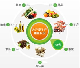 農(nóng)產(chǎn)品追溯系統(tǒng)定制開發(fā) 保障食品安全與提升市場競爭力